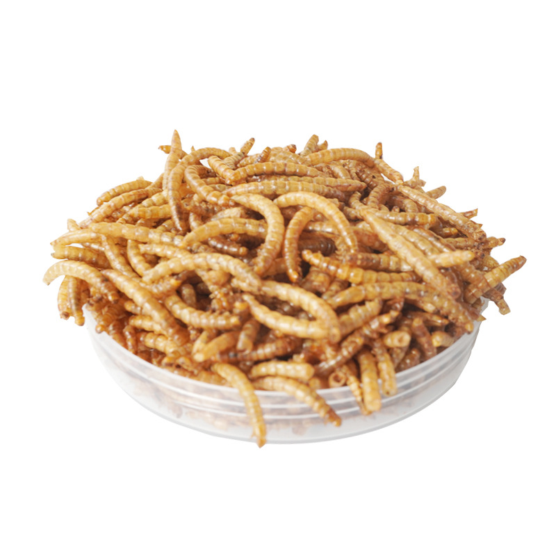 Food And Snacks High In Protein - Eiwitrijke snacks voor hamsters, vogels, egels,