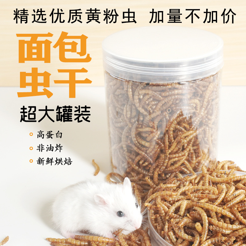 Eiwitrijke snacks voor hamster - Food And Snacks High In Protein recensie en prijs