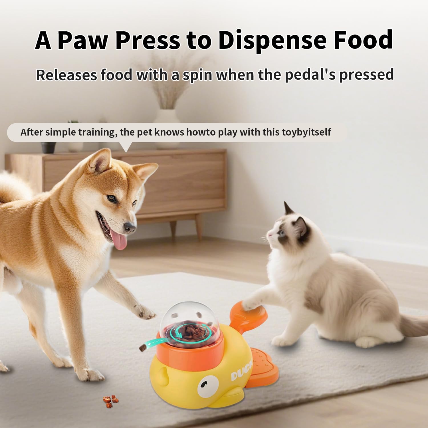 Interactieve speelgoedjes voor - Food Snacks Distribution recensie en prijs